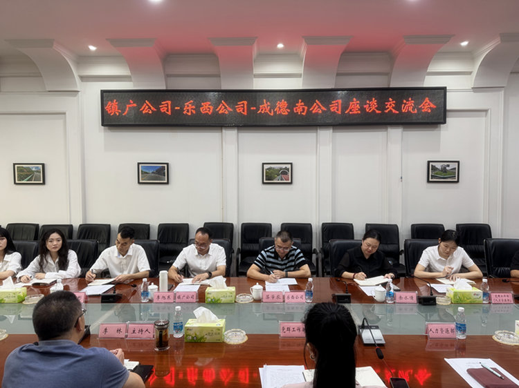 8.29+人力資源部+鎮(zhèn)廣、樂西公司赴成德南公司開展交流座談.JPG
